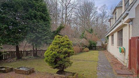 Back Garden
