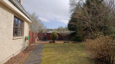 Back Garden