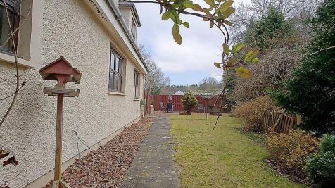 Back Garden