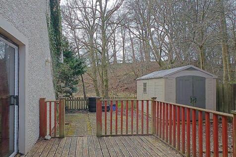 Back Garden
