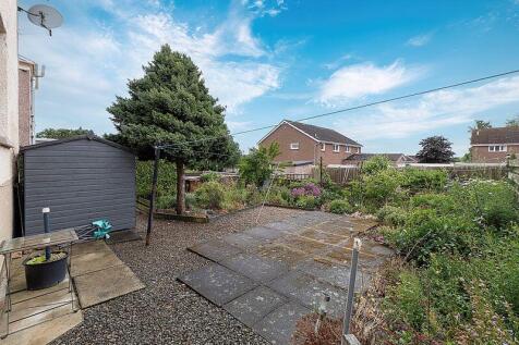Back Garden