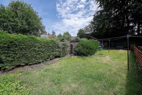 Back Garden