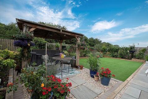 Back Garden