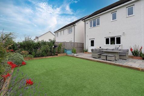 Back Garden