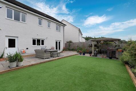 Back Garden
