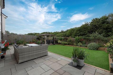 Back Garden