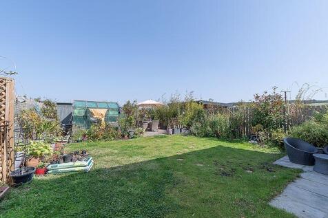 Back Garden
