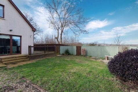 Back Garden