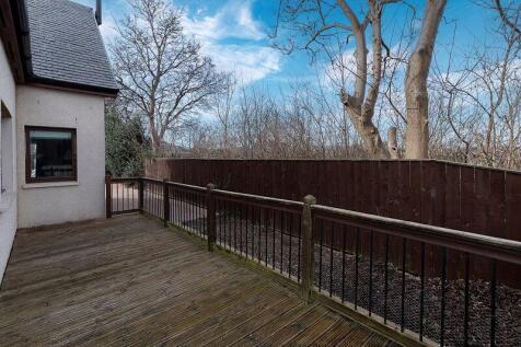 Back Garden