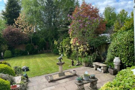 garden 3.jpg