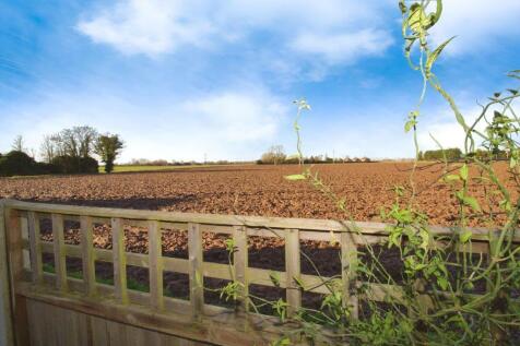 Field views