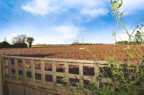Field views