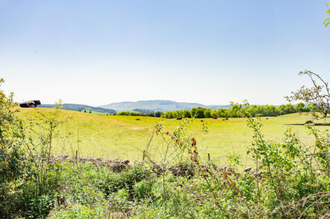 View from Garden