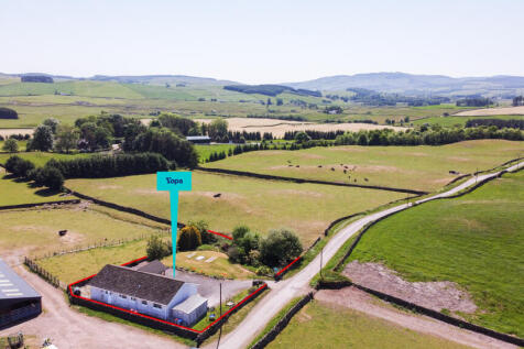 Aerial Plot View