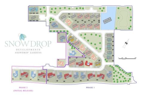 Site Layout