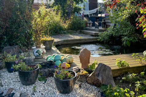 Pond