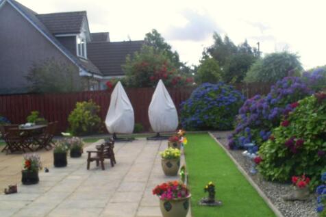 Colourful Rear Garden