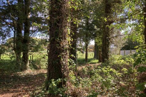 Woodland Area