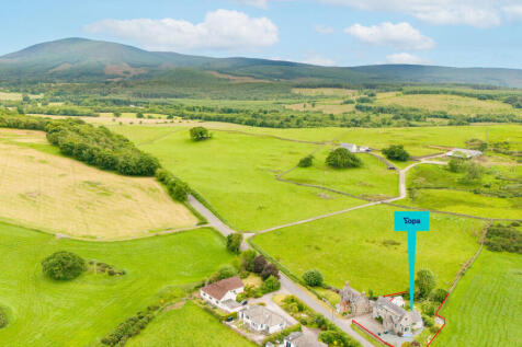 Aerial Shot