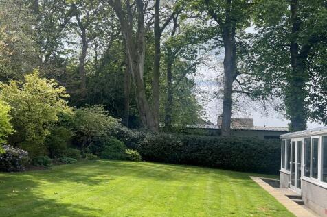 Rear Lawn