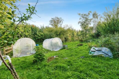 Allotment_5