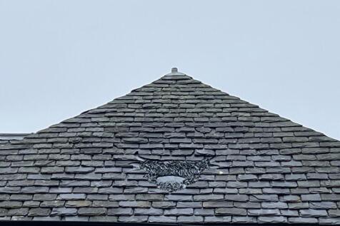 IMG_2504