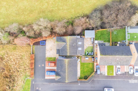 Aerial Plot View