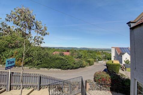 View From The Garden
