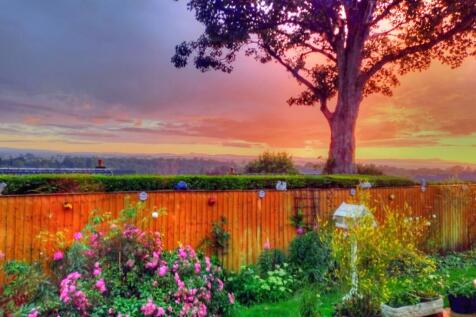 Garden view in summer.