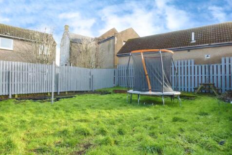 Shared Garden