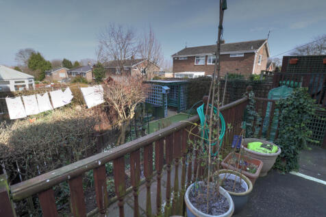 Garden 5