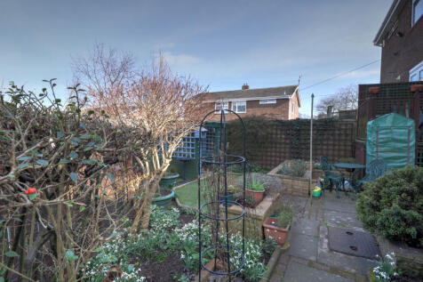 Garden 1