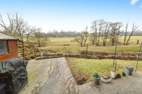 Back Garden