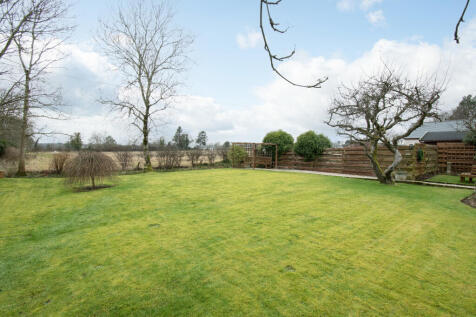 Garden.
