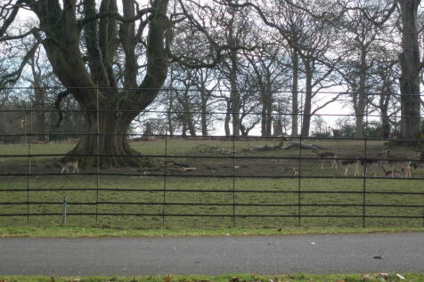 Deer Park