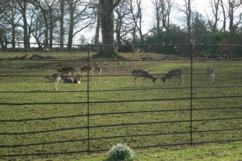 Deer Park