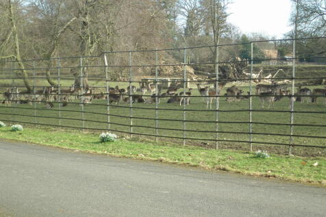 Deer Park