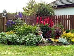 Garden in Summer