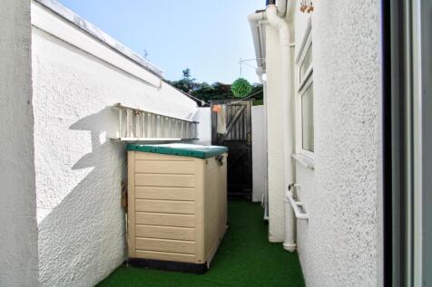 Back yard