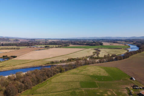 View Of The Surroundings