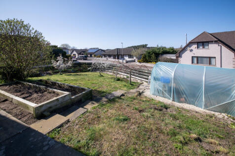Exterior Garden