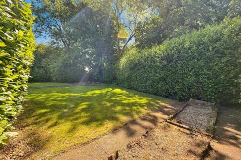 Garden area