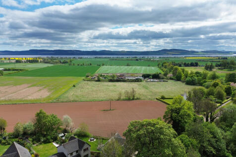 View Of The Surroundings