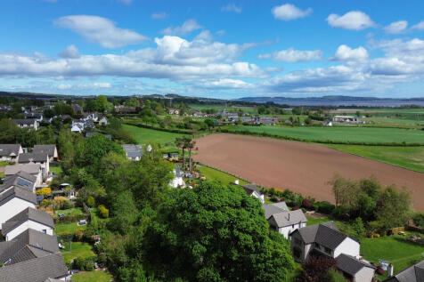View Of The Surroundings