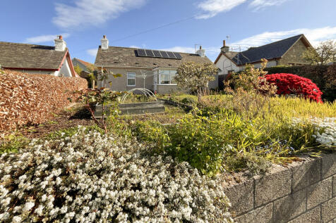 Exterior Garden