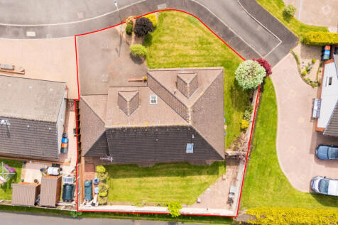 Aerial Plot View