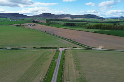 View Of The Surroundings
