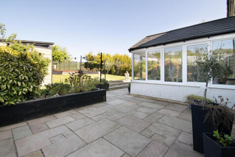 Patio Garden