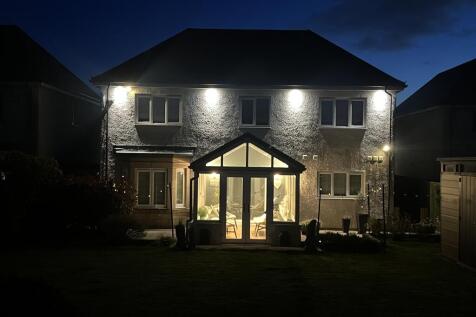 Rear at night