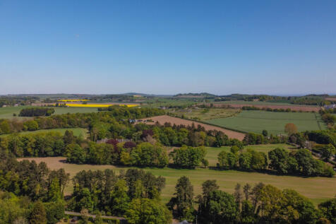 View Of The Surroundings